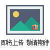 50522 雙線手腕帶+臺面接地實時監(jiān)測器 （雙工位）